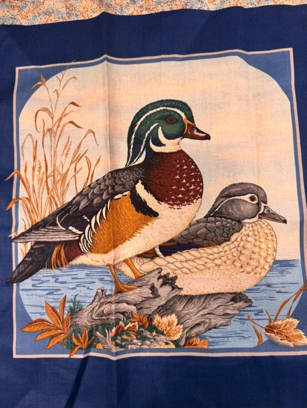 Vintage Wood Duck quilt panel